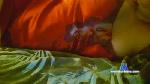 EvyJ cam4 livecam show performer room profile