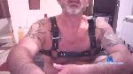 lucchobear cam4 livecam show performer room profile