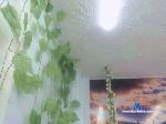 dasilva_chica cam4 livecam show performer room profile