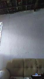 gatinhaflashbak cam4 livecam show performer room profile