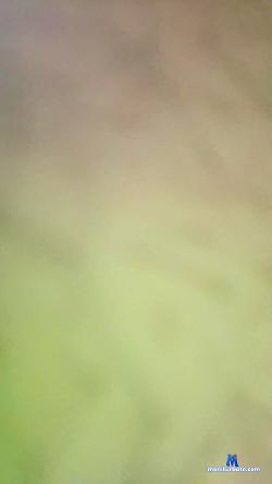 Rodrigoparlotti cam4 live cam performer profile