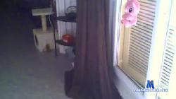 mell422 cam4 live cam performer profile