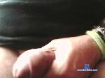 bigbigmaxxx cam4 livecam show performer room profile