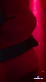 cmalbert cam4 livecam show performer room profile