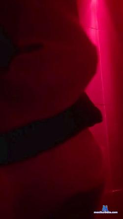cmalbert cam4 live cam performer profile