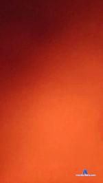 peke43 cam4 livecam show performer room profile