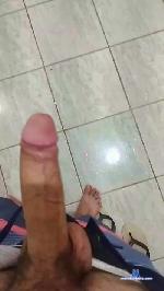 FZard cam4 livecam show performer room profile