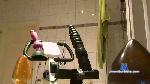 Gingi74 cam4 livecam show performer room profile