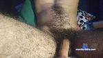 Bungarus cam4 livecam show performer room profile