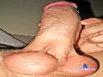 MazzaSucculenta cam4 livecam show performer room profile