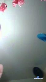 anouar84 cam4 livecam show performer room profile