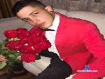 Stefanalesandro cam4 livecam show performer room profile
