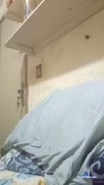 Ruiva520 cam4 livecam show performer room profile