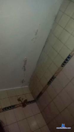 lolabb2 cam4 live cam performer profile