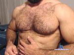 firecombat cam4 livecam show performer room profile