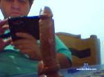 spaulo500 cam4 livecam show performer room profile