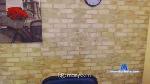 platinum68 cam4 livecam show performer room profile