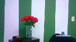 bad_boy1992 cam4 livecam show performer room profile