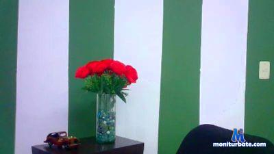 bad_boy1992 cam4 bisexual performer from United States of America  