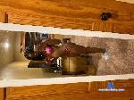 Angeldagoddess cam4 livecam show performer room profile