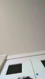 jose199410 cam4 livecam show performer room profile