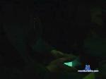Y_K_M cam4 livecam show performer room profile