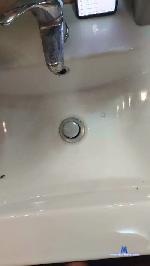 Devid1985 cam4 livecam show performer room profile