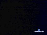 santalf cam4 livecam show performer room profile