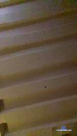 TiNi87 cam4 livecam show performer room profile