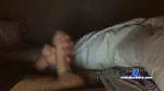 Dot20_Vina cam4 livecam show performer room profile