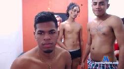 room_horny_ cam4 live cam performer profile