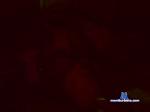 duolocura cam4 livecam show performer room profile