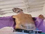 Dan_handsome30 cam4 livecam show performer room profile