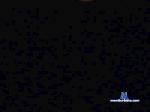 Susana_Theilor cam4 livecam show performer room profile