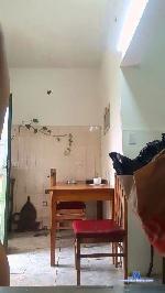 MarDulcexxx cam4 livecam show performer room profile