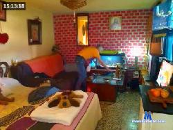lovewholove cam4 live cam performer profile