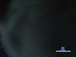 StevenDemaio cam4 livecam show performer room profile