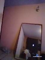 honeymark cam4 livecam show performer room profile