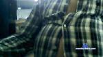 curieuxdeto cam4 livecam show performer room profile