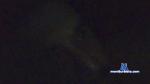 retutu006 cam4 livecam show performer room profile