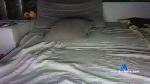 arow5 cam4 livecam show performer room profile