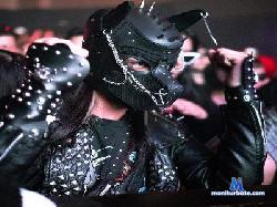 davidroses666 cam4 live cam performer profile