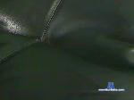 titi95010 cam4 livecam show performer room profile