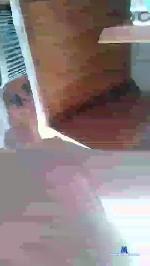 _Ottis_ cam4 livecam show performer room profile