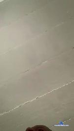 negonega cam4 livecam show performer room profile