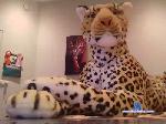 wesley21jaar cam4 livecam show performer room profile