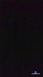 Franzariel cam4 livecam show performer room profile