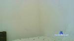 geishaale31 cam4 livecam show performer room profile