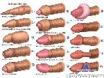 Hairysmallqipq cam4 livecam show performer room profile