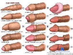 Hairysmallqipq cam4 live cam performer profile